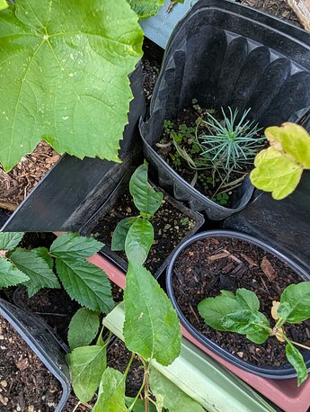 PXL_20250814_233656462