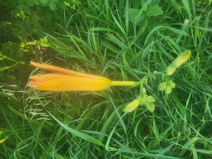 20260606_073057