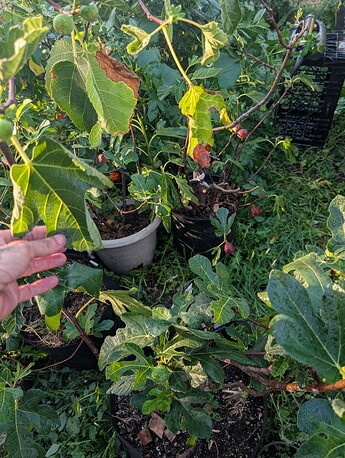 PXL_20250908_003344493