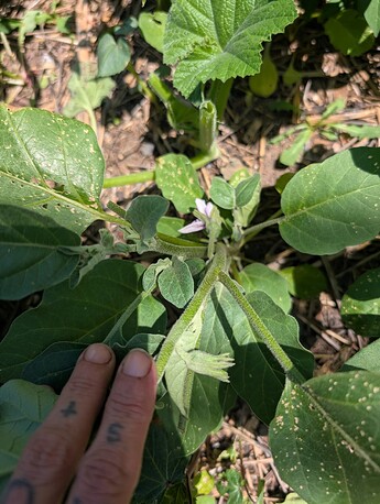 PXL_20250711_203502215