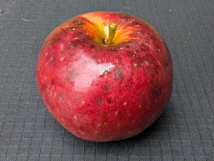 PXL_20250823_135515892