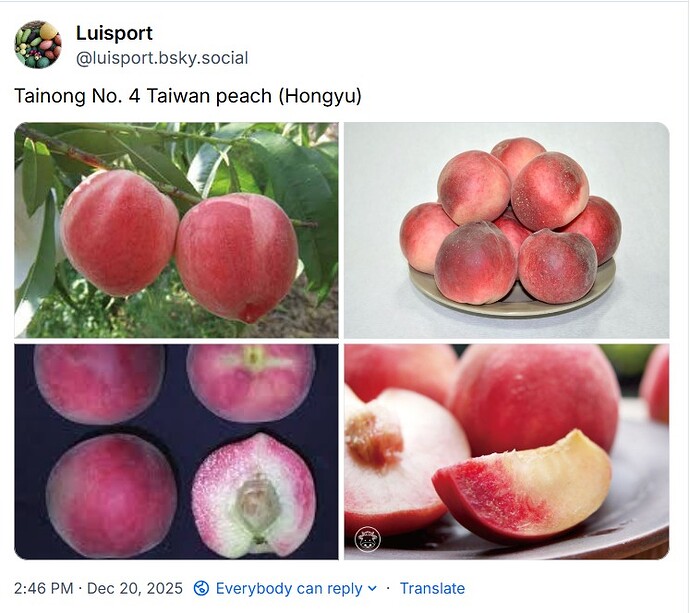 WhatsApp Image 2025-12-20 at 14.47.46