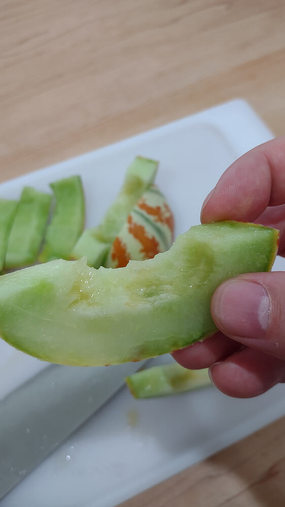 IMG_20250713_122335627