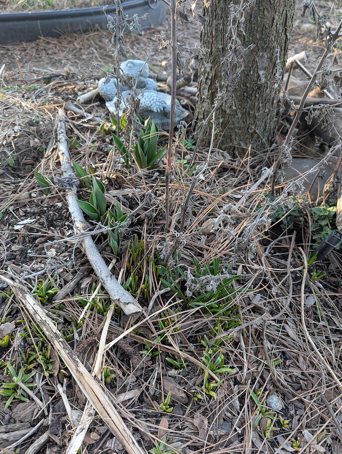 PXL_20260301_003750340