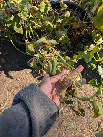 PXL_20251007_183137751