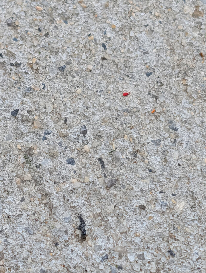 PXL_20260515_190853530