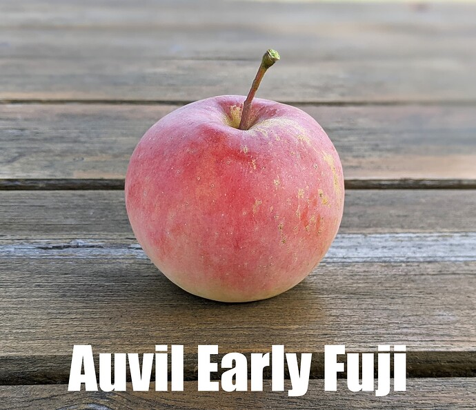 Auvil Early Fuji_2025