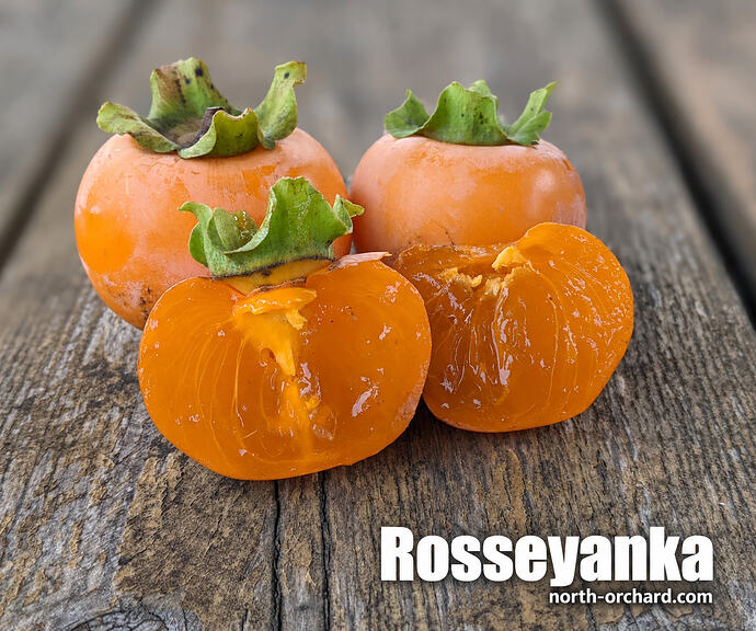 Rosseyanka persimmon_url
