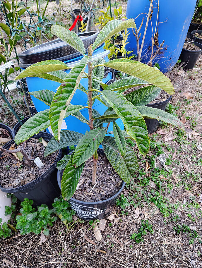 IMG_20260303_170727109_HDR_AE