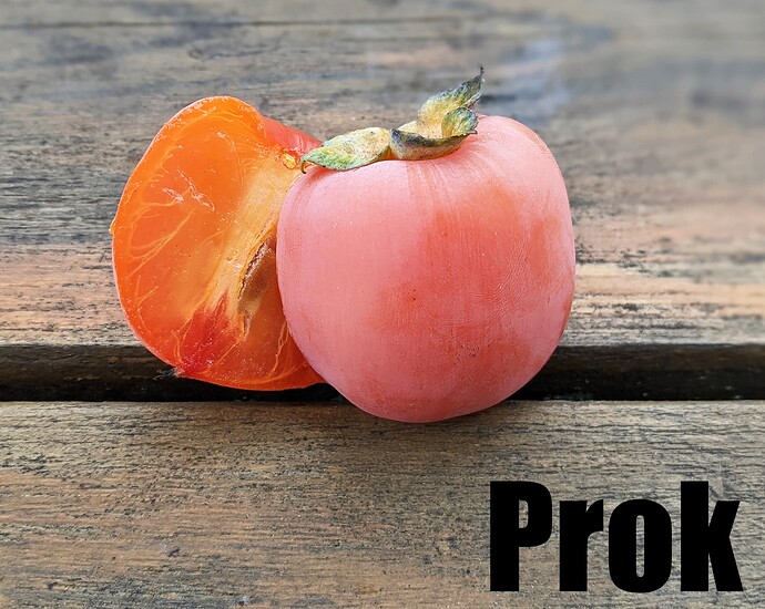Prok_2025