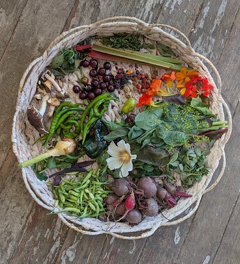 PXL_20250717_233753995