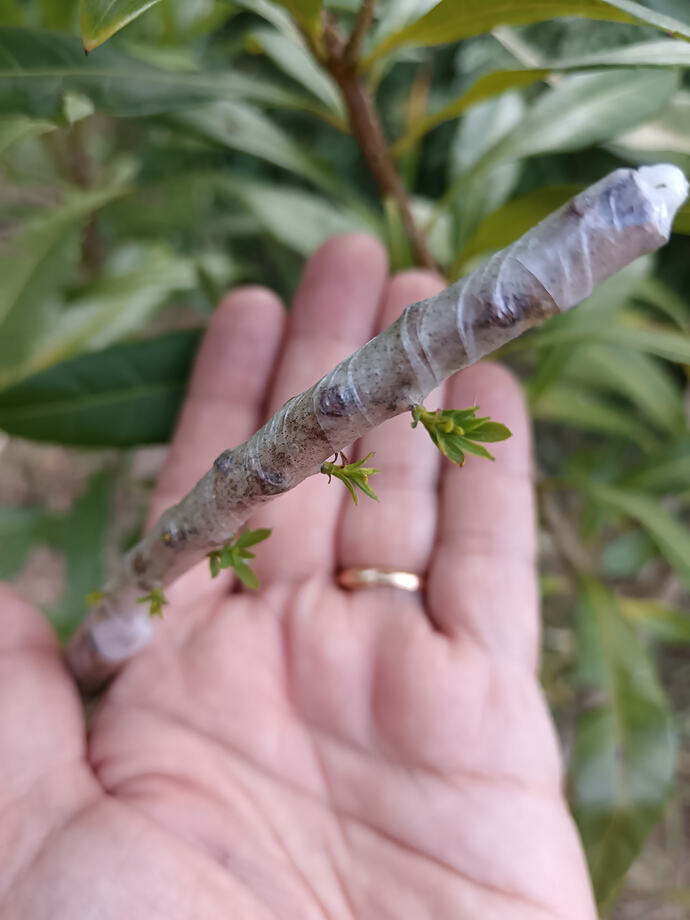 IMG_20260715_191802