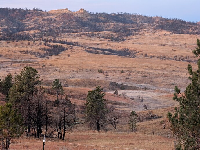 PXL_20251118_140141472