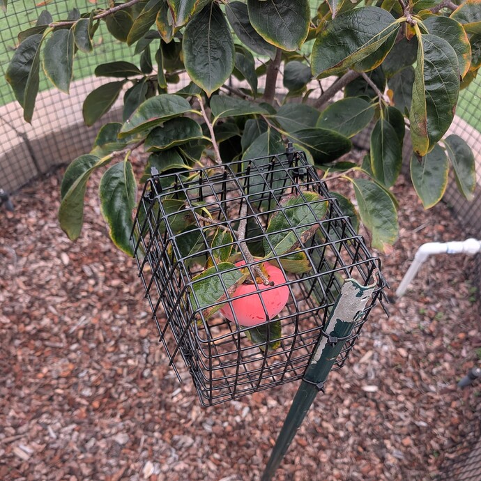 PXL_20251121_001028309