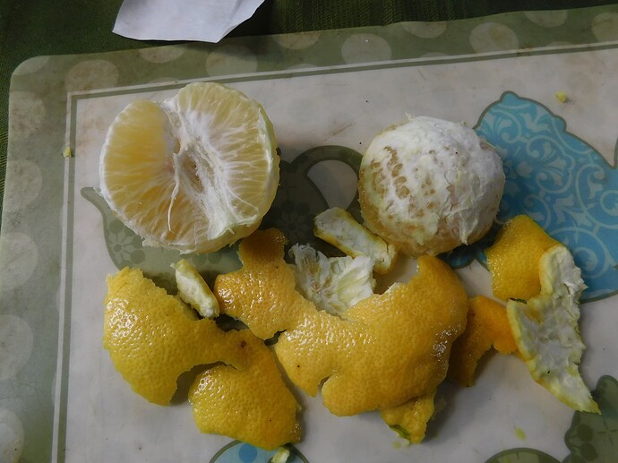 DSCN6035