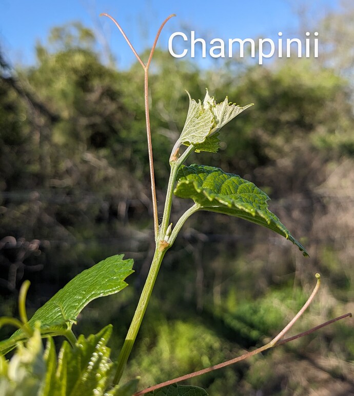 PXL_20250325_220734696~2