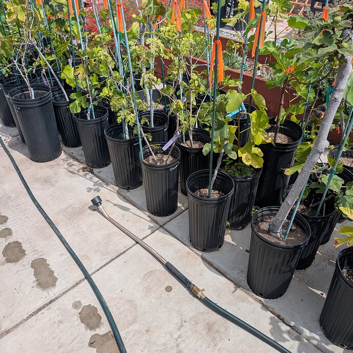 PXL_20250913_185924124