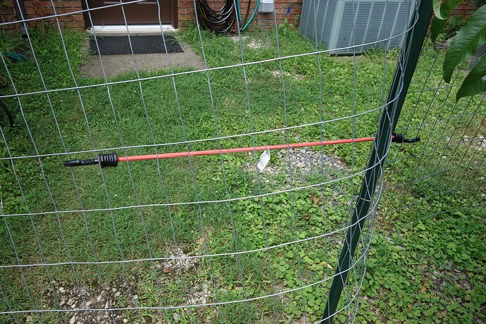 Deer cage bungee strap to keep door open (2)