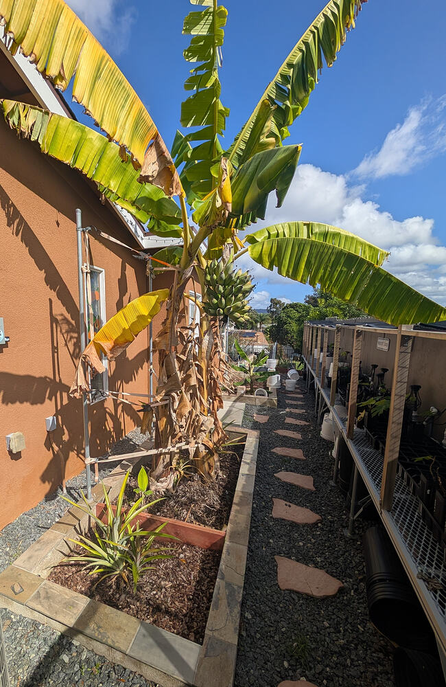 PXL_20260218_203947811