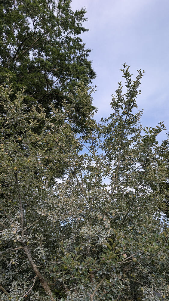 PXL_20260605_231621775