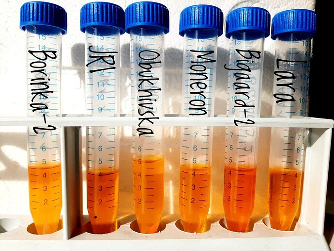 Goumi Pigment Extracts