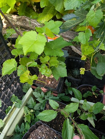 PXL_20250814_233659494