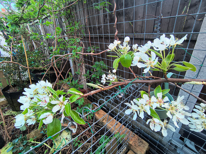 IMG_20260408_193145953_HDR