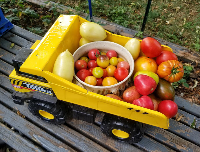 TomatoTonkaTruck