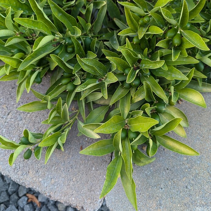 PXL_20250821_020600183