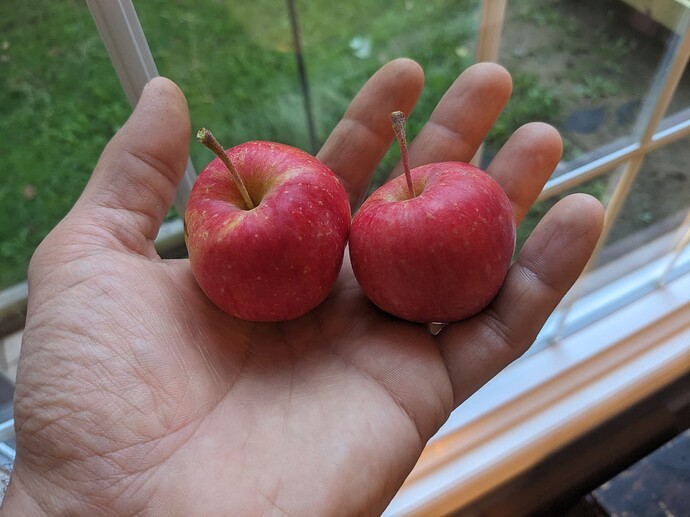 PXL_20250907_111050537.MP