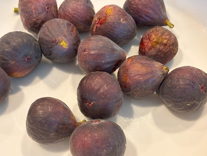 Figs2