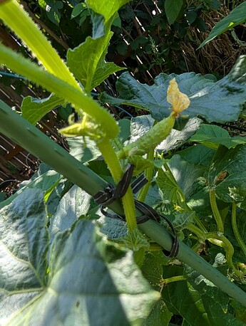 PXL_20250724_221212952