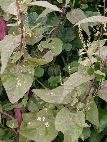 PXL_20250806_180922489