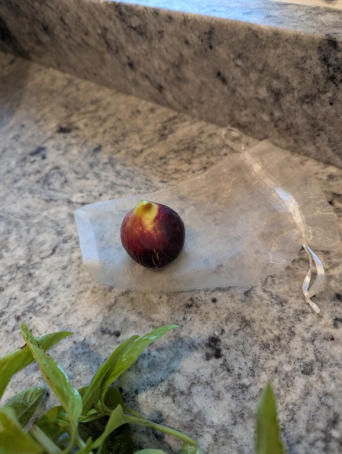 PXL_20250908_222229203