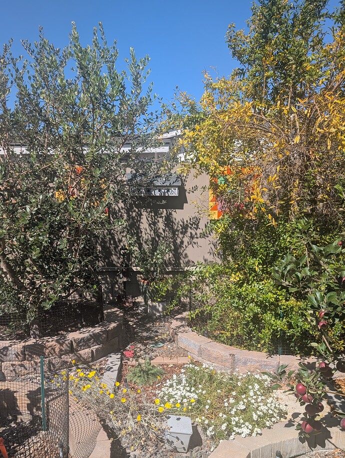 PXL_20251011_202603375