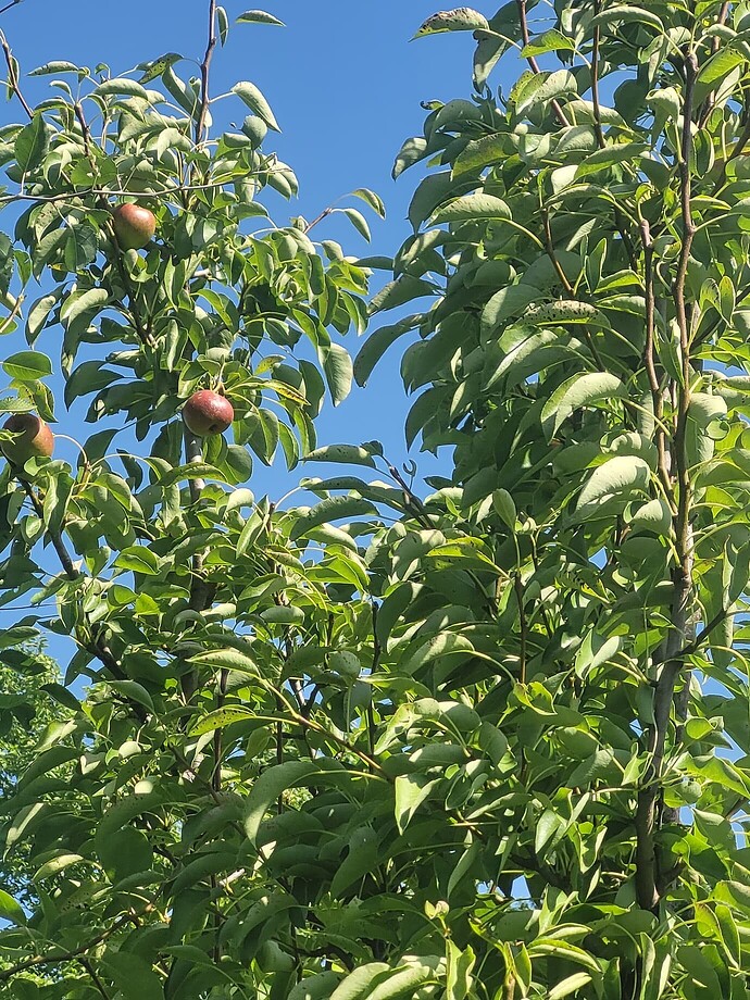 2158883a94bddfe47cc100cf795ebc685cf86326_2_1380x1840