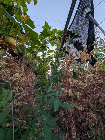 PXL_20250825_023106850