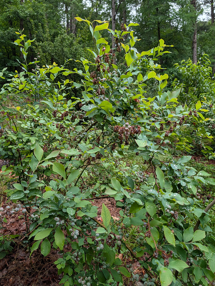 PXL_20260505_214102094