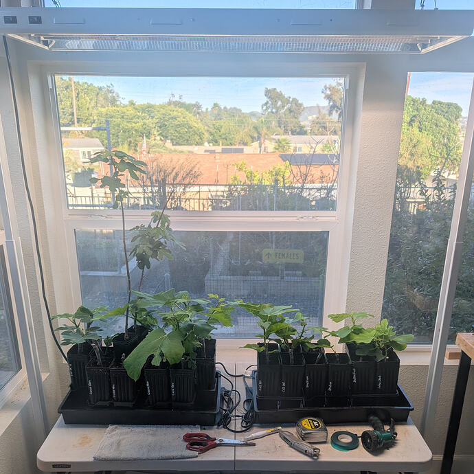 PXL_20260301_002927494