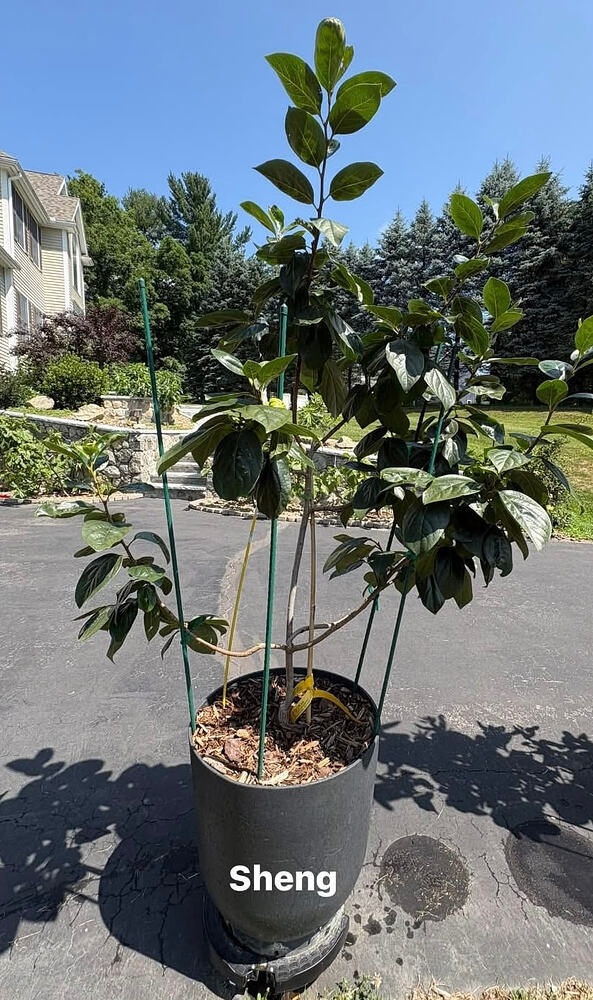 IMG_1434