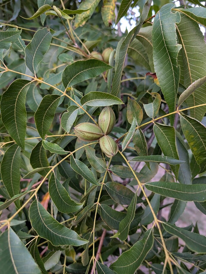 PXL_20250914_230459358