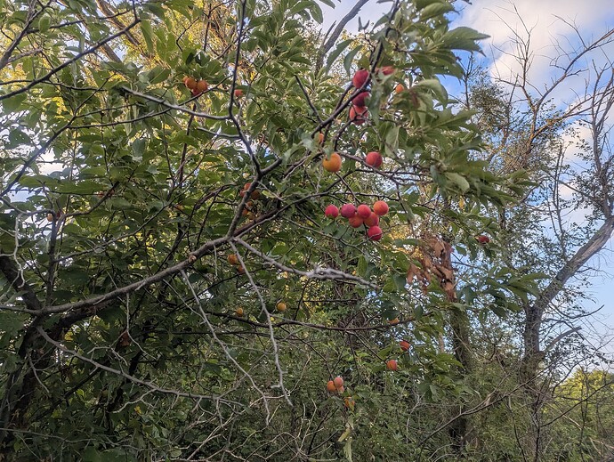 PXL_20250821_122645453