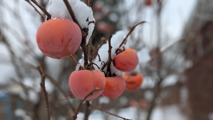 PXL_20251203_142357188.PORTRAIT