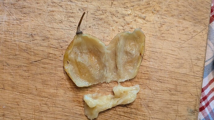 Flesh From Under Skin