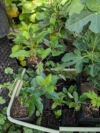 PXL_20250814_233643167