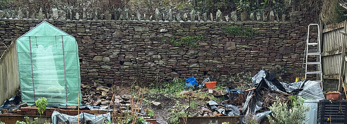 Screenshot 2026-03-09 at 8.04.08 pm