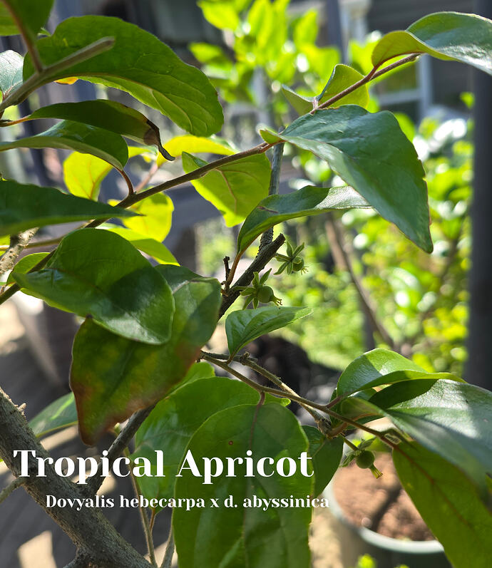 20260426_111828 (2026-04-27T20_16_26.475)