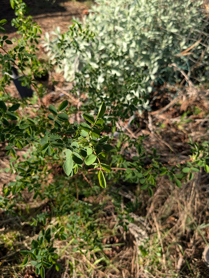 PXL_20260430_010819072