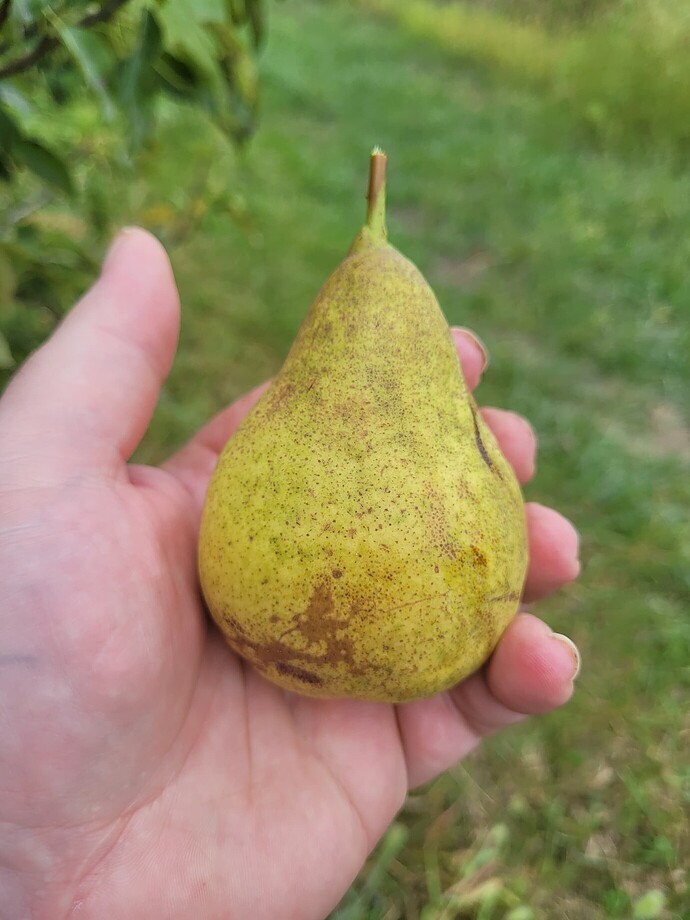 fcb06ccfc16e18ecc25c49725b2b34d17f0e0918_2_1380x1840