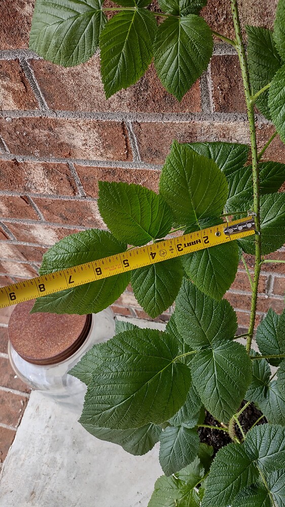 IMG_20251107_113443638_HDR